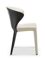 dinning chair BN1003 (Furniture2025)