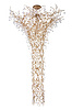 CORAL Collection